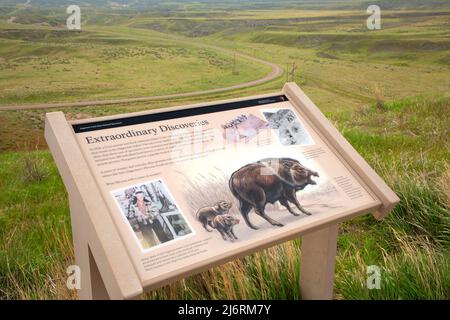 Interpretationboard, Hagerman Fossil Beds National Monument, Idaho Stockfoto