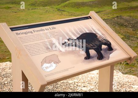 Interpretationboard, Hagerman Fossil Beds National Monument, Idaho Stockfoto