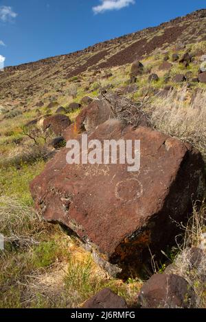 Petroglyphen, Karte Rock Petroglyphen Historic District, Canyon County, Idaho Stockfoto