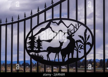Elemente der dekorativen Ornament in einem Metall gearbeiteten Zaun. Eisernes Tor mit schmiedeeisernem Ornament darauf. Straßenfoto, niemand, Kunstwerk, selektiver Fokus-April Stockfoto