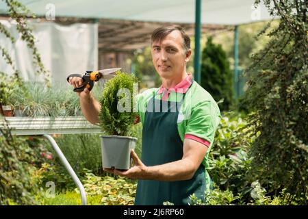 Reifer Mann, der im Gartencenter arbeitet und Topfpflanzen hält Stockfoto
