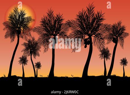 Viele Kokospalmen als Silhouette mit Sonnenuntergang Hintergrund Stock Vektor
