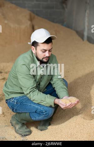 Bauer hockt auf einem Haufen Sojabohnenschalen Stockfoto