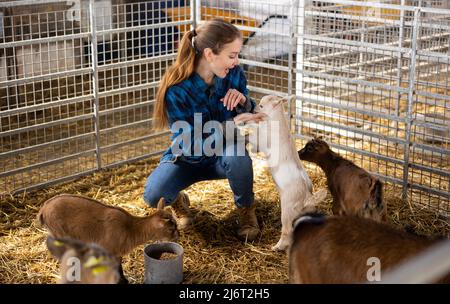 Bäuerin füttert und spielt mit Ziegenlingen Stockfoto