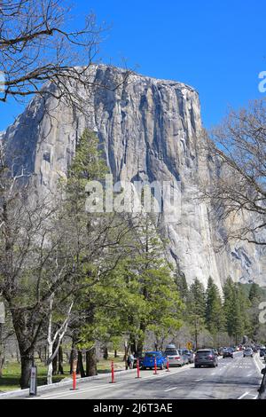 Das berühmte El Capitan liegt vor dem berühmten Yosemite Valley (US-Nationalpark), Mariposa CA Stockfoto