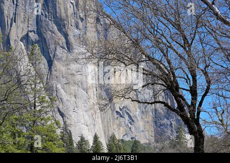 Das berühmte El Capitan liegt vor dem berühmten Yosemite Valley (US-Nationalpark), Mariposa CA Stockfoto