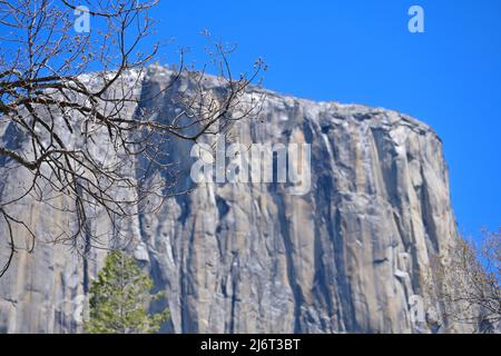 Das berühmte El Capitan liegt vor dem berühmten Yosemite Valley (US-Nationalpark), Mariposa CA Stockfoto