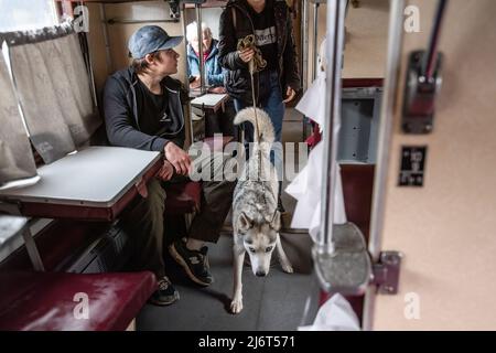 19. April 2022, Kharkiv, Ukraine: Passagiere, die mit ihrem Husky Dog nach Lviv reisen, steigen in einen Zug in Kharkiv ein. Russland marschierte am 24. Februar 2022 in die Ukraine ein und löste damit den größten militärischen Angriff in Europa seit dem Zweiten Weltkrieg aus (Bild: © Laurel Chor/SOPA-Bilder über ZUMA Press Wire) Stockfoto