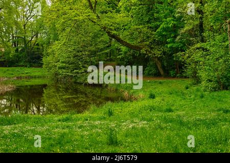 Schöner Blick auf die Landschaft eines kleinen Teiches mit grüner Wiese, Bäumen und einem Pfad Stockfoto