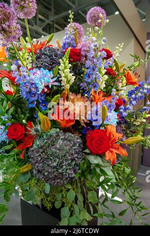 Schöner Frühlingsstrauß. Blumenarrangement mit Hortensien in verschiedenen Farben. Die Farbe ist lila. Das Konzept eines Blumengeschäftes, eines kleinen Familienbusi Stockfoto