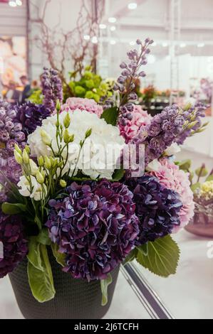 Schöner Frühlingsstrauß. Blumenarrangement mit Hortensien in verschiedenen Farben. Die Farbe ist lila. Das Konzept eines Blumengeschäftes, eines kleinen Familienbusi Stockfoto