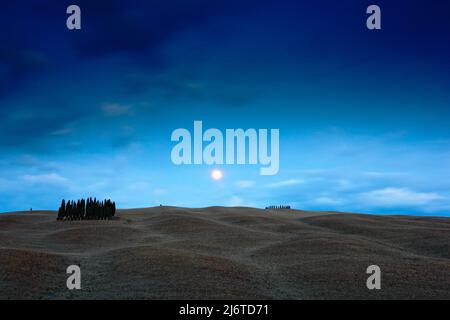 Toskanische Nachtlandschaft, Mond mit Baum auf dem Lehm, dunkelblauer Himmel mit Sternen, nächtliche wellige Hügellandschaft, Italien Stockfoto