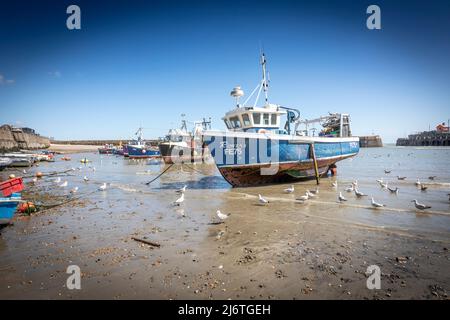 Fischerboote im Folkestone Hafen bei Ebbe. Stockfoto