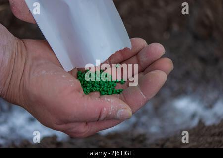 Junge Bäuerin, die Karotten, Radieschen und Rüben in eine warme schwarze Erde pflanzt. Ein warmer Frühlings-Sonnentag ist eine gute Zeit für die Pflanzung. Soziale Assis Stockfoto