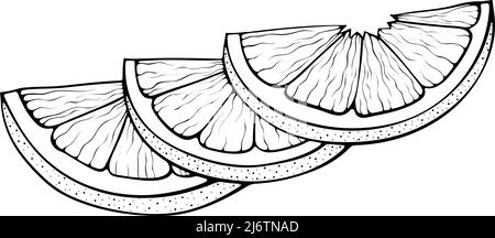 Drei Scheiben Zitronenkunst Stock Vektor