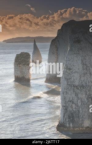 Die Pinnacles bei Old Harry Rocks in der Nähe von Studland in Dorset machen ein ansprechendes Küstenbild Stockfoto