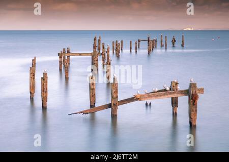 Der Old Pier in Swanage in Dorset bildet einen guten Vordergrund zur Isle of Wight in der Ferne Stockfoto