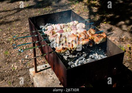 Schweinefleisch Chop Gekocht Auf Dem Barbecue Grill. Flamme Des Feuers Im Hintergrund Stockfoto