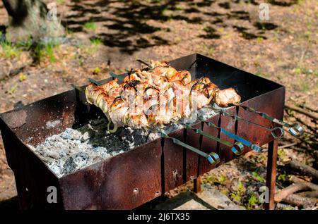 Schweinefleisch Chop Gekocht Auf Dem Barbecue Grill Stockfoto