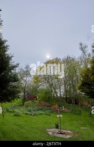 Ein nebliger, früher Abend und die Sonne bricht einfach durch die Wolken in der Moorlandschaft Stockfoto