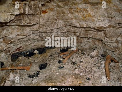 Sehen Sie S in Canon Greenwell's Pit bei Grime's Graves prähistorische Feuersteinminen, Norfolk, England, Großbritannien, mit verlassenen Geweih-Picks neben einer Feuerschicht Stockfoto