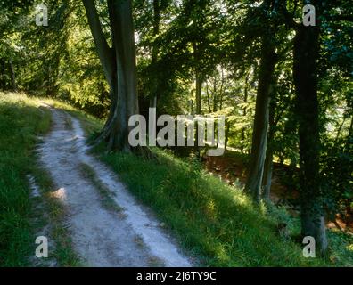 Blick W vom inneren Kreideufer & Graben des Danebury Ring Iron Age Hillfort, Hampshire, England, Großbritannien, mit dem äußeren Wall nach rechts abwärts. Stockfoto