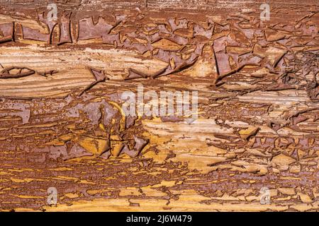 Alte braune Farbe auf Holz, Textur Hintergrund Nahaufnahme. Aufgenommen mit Sonnenlicht in Nahaufnahme. Stockfoto