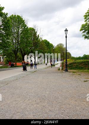 Menschen wandern, laufen, radeln auf der Renaissance-Mauer, die die Stadt Lucca, Italien, umgibt. Stockfoto