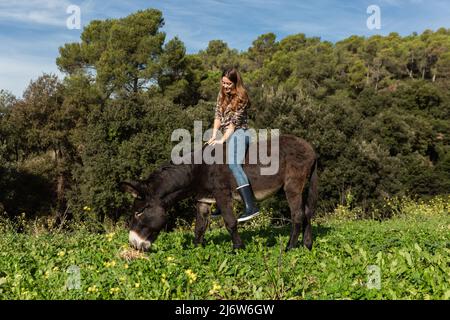 Eine glückliche junge Frau, die auf einem Esel reitet, während er auf der Wiese grast Stockfoto