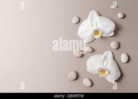 Weiße Orchideen und Kieselsteine flach gelegt, floral beige Hintergrund mit Copy Space Stockfoto