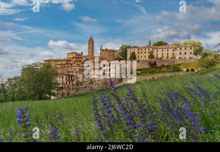 Monforte d'Alba, langhe, Italien - 02. Mai 2022: Mittelalterliches Dorf Monforte d'Alba auf dem Hügel mit dem alten Glockenturm von Santa Maria, im Vordergrund Stockfoto