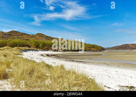 MORAR SCHOTTLAND EIN BLAUER HIMMEL EIN WEISSER SANDSTRAND VON CAMUSDARACH UND MEER- ODER MARRAMMRASEN AMMOPHILA ARENARIA Stockfoto