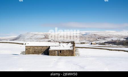 Traditionelle Steinhäuser in den Yorkshire Dales, mit Schnee bedeckt. Die Scheunen würden ursprünglich dazu verwendet, Heu und Vieh über den Winter zu halten. Hawes Stockfoto