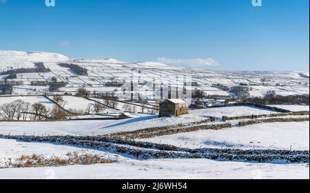 Traditionelle Steinhäuser in den Yorkshire Dales, mit Schnee bedeckt. Die Scheunen würden ursprünglich dazu verwendet, Heu und Vieh über den Winter zu halten. Hawes Stockfoto