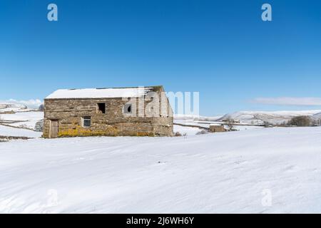 Traditionelle Steinhäuser in den Yorkshire Dales, mit Schnee bedeckt. Die Scheunen würden ursprünglich dazu verwendet, Heu und Vieh über den Winter zu halten. Hawes Stockfoto