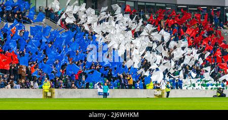 Linfield Fans im Windsor Park, Belfast. Stockfoto