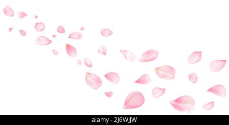 Sakura fliegende Blütenblätter, romantischer Hintergrund mit realistischen rosa Kirschblütenblättern fließen oder fallen Bewegung. Liebe, Romantik, Blumenfrühling oder Hochzeitseinladung in rosa Pastellfarben Stock Vektor