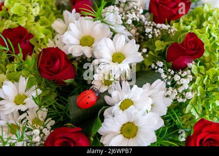 Hintergrund mit einer Vielzahl von frischen Blumen. Bouquet von roten Rosen, weißen Gänseblümchen, Grün und Wildblumen. Stockfoto