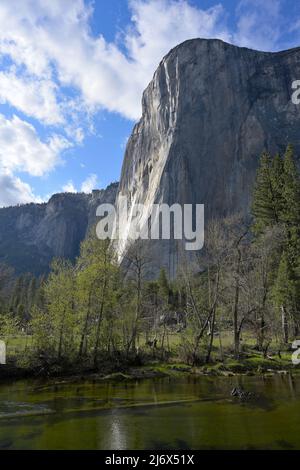 Das berühmte El Capitan liegt vor dem berühmten Yosemite Valley (US-Nationalpark), Mariposa CA Stockfoto