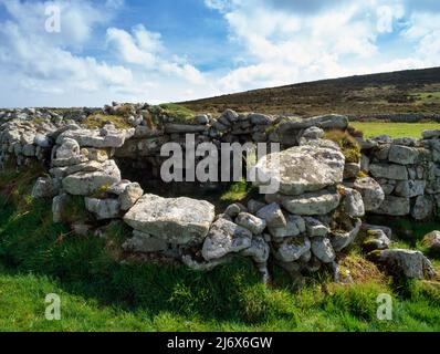 Bosporthennis, Cornwall, England, Großbritannien: An der nordöstlichen Ecke eines hochummauerten, rechteckigen mittelalterlichen Feldes stehen die Überreste einer eisenzeitlichen, abgerundeten Hütte. Stockfoto