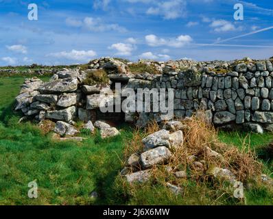 Bosporthennis, Cornwall, England, Großbritannien: An der nordöstlichen Ecke eines hochummauerten, rechteckigen mittelalterlichen Feldes stehen die Überreste einer eisenzeitlichen, abgerundeten Hütte. Stockfoto