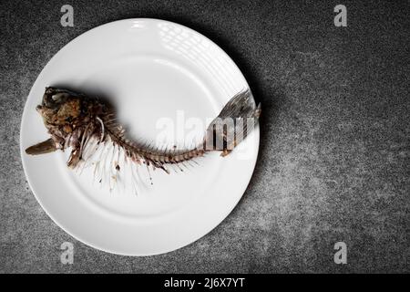 Gebratenes Fischskelett, Wirbelsäule und Knochen auf einem weißen Teller auf grauem Grund. Stockfoto