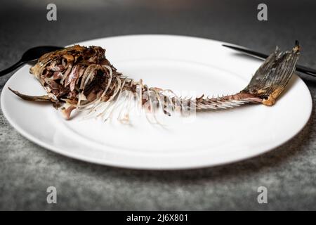 Gebratenes Fischskelett, Wirbelsäule und Knochen auf einem weißen Teller mit schwarzem Messer und Gabel auf grauem Hintergrund. Stockfoto