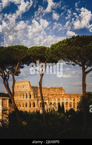 Das Kolosseum bei Sonnenuntergang in der Stadt Rom in Italien. Altes flavisches Amphitheater hinter Bäumen auf dem Palatin. Stockfoto