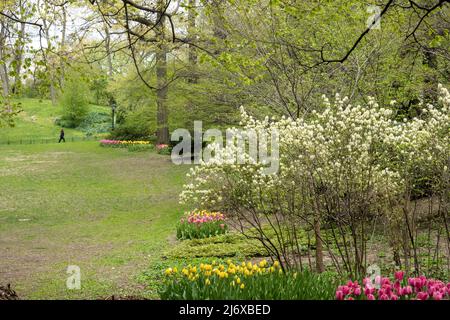 Der Central Park in New York City ist während der Frühjahrssaison wunderschön, USA 2022 Stockfoto