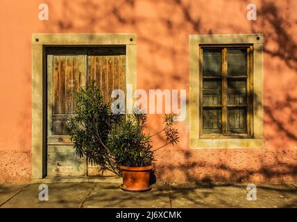 Eine alte Holztür und ein Fenster in einem historischen Wohnhaus im mittelalterlichen Dorf Buzet in Istrien, Westkroatien Stockfoto