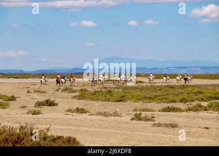 Eine Gruppe von Fahrern auf dem Pferdekutschen in der trockenen Camargue bei Saintes Maries-de-la-Mer Stockfoto