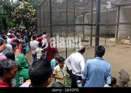 DHAKA, BANGLADESCH- MAI 04,2022: Nach zwei Jahren pandemischer Schließung wurde die Wiedereröffnung des Nationalen Zoos von Mirpur von Tausenden von Besuchern begrüßt Stockfoto