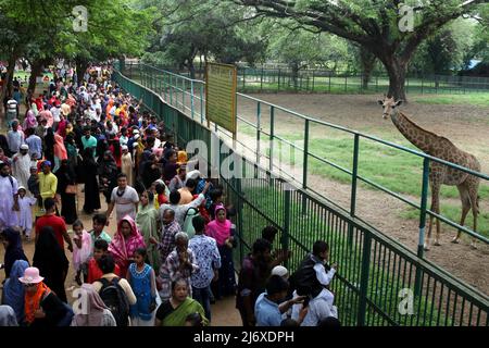 DHAKA, BANGLADESCH- MAI 04,2022: Nach zwei Jahren pandemischer Schließung wurde die Wiedereröffnung des Nationalen Zoos von Mirpur von Tausenden von Besuchern begrüßt Stockfoto