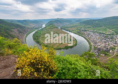 Malerische Aussicht auf die Mosel, die sich zwischen Trier und Koblenz dreht. Stockfoto